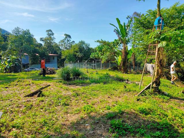 1.1 acres Land Balik Pulau 1st Grade Land @ Sungai Rusa for Sale ! 1