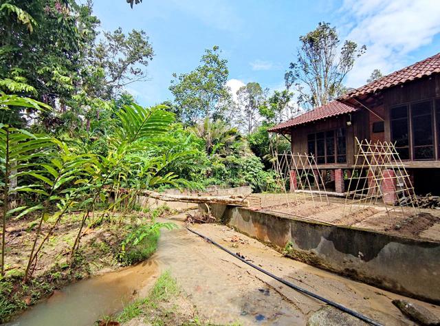 SESUAI UNTUK RESORT ADA SUNGAI Tanah di Janda Baik Bentong Siap Infra 5