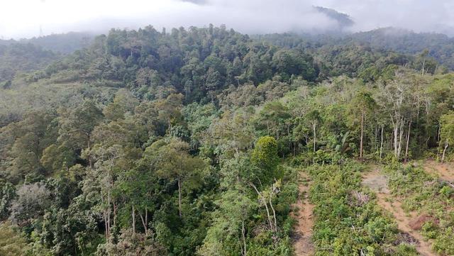 Tanah Pertanian, Ulu Klawang, Jelebu 1
