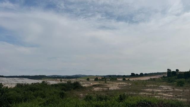 Gelang Patah 10 Acres Industrial Land for Sale 1