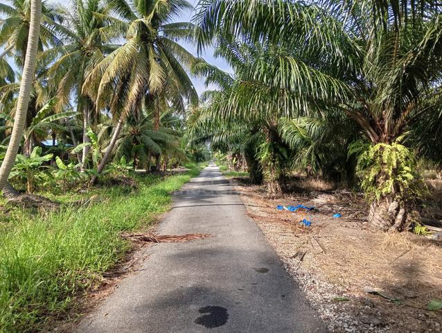 2.5 Ekar Tanah, Berhampiran Politeknik & Pantai B.N.O. Sabak Bernam. 4