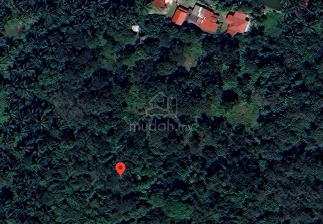 Tanah Murah Pertanian Kuala Pilah Negeri Sembilan 1