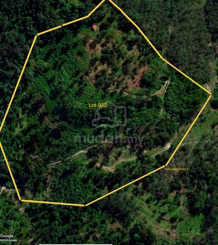 DURIAN FARM-Automated-Private WATERFALL+SPRING -myOrganic - Junjung 1