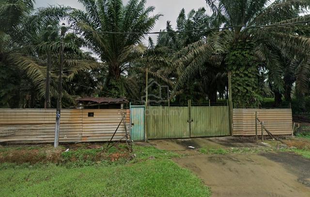 Tanah Kelapa Sawit Serta Store Dan Kolam Ikan Untuk Dijual Kota Tinggi 1