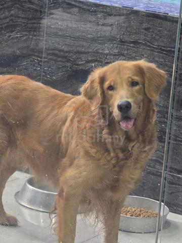 Carousel Image