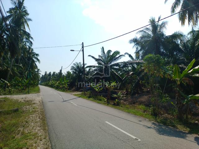 MURAH Tanah Sawit 5 Ekar Kampung Tebuk Mufrad Sabak Bernam 5