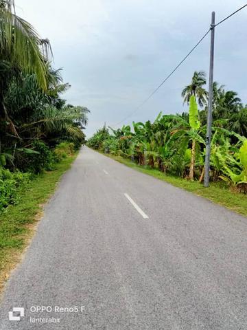 2.5 Ekar FH Malay Reserve Kg Pasir Panjang Sg Besar Sabak Bernam 3
