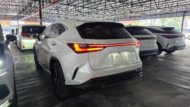 2023 Lexus Nx250 2.5 P.R HUD 4CAM DIM BSM - 2