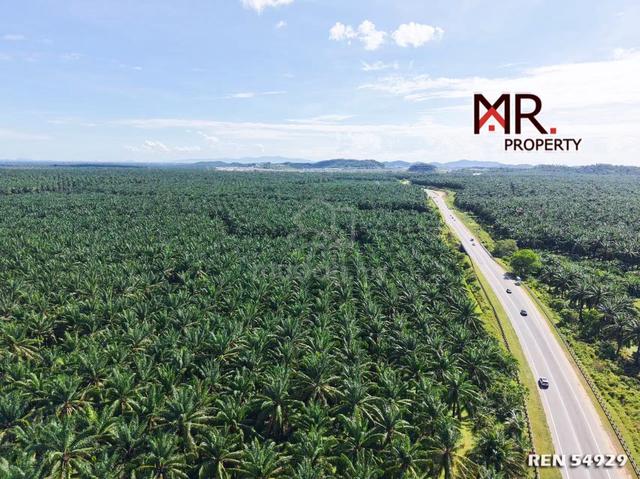 STRATEGIC LOCATION Oil Palm Farm Sidam Kiri FOR SALE 1