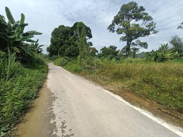 Tanah Lot Pertanian Kg Sungai Buah, Dengkil 4