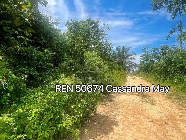 Agricultural Land Freehold Nearby Residential Area Alor Gajah Melaka 1