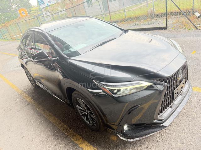 2023 Lexus NX250 2.5 LUXURY Modenlisda Kit Grad 5 - 3