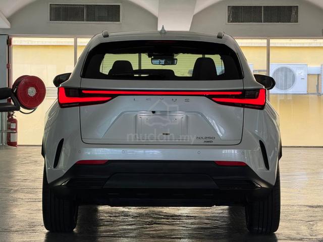 2023 Lexus NX250 2.5 LUXURY GRADE 4.5B (A) - 5