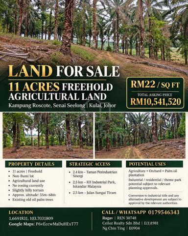 11 Acres Freehold Agricultural Land @ Kampung Roscote, Senai Seelong 1