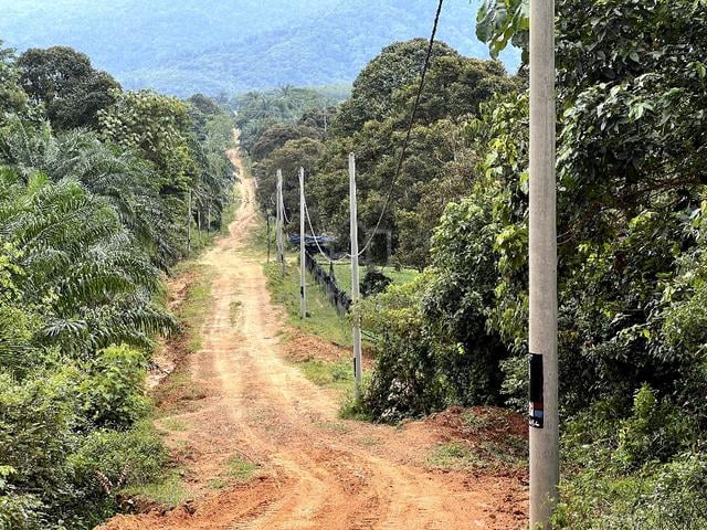 Multiple Agriculture Purpose Land (1 Acre) with Reserve Road for Sale 2