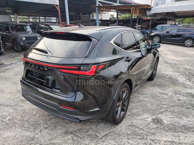 2023 Lexus Nx250 2.5 Version L Package 360Cam 5A - 3