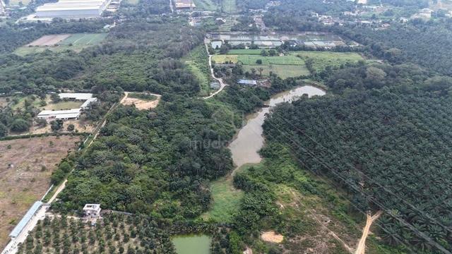 8.2 Acres Agriculture Zoning Industrial Land @ Sungai Tiram, Ulu Tiram 1