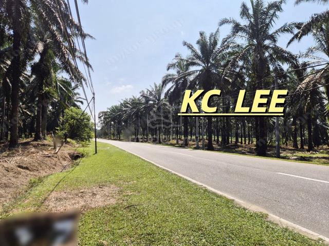 Beside Main Road 10.37 Acres Land For Sale @ Selama , Perak 1