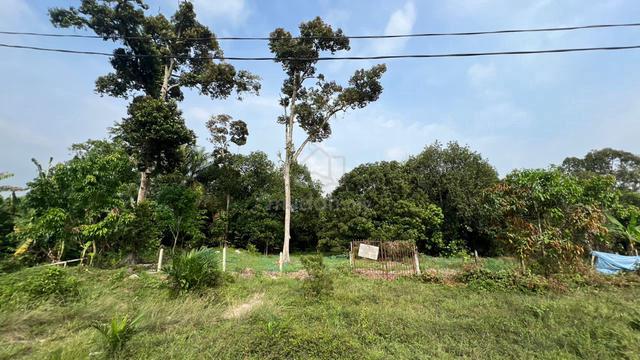 Dusun Buah-Buahan Zoning Perumahan Kg Sri Kundang, Rawang 1