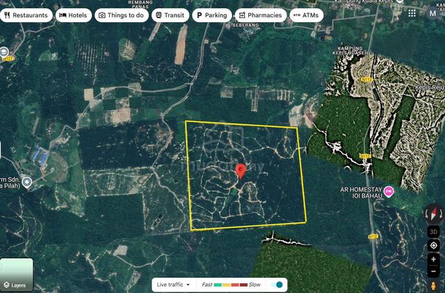 Negeri Sembilan Malay Reserved Land Oil Palm Land 1