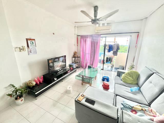Pan Vista 3
