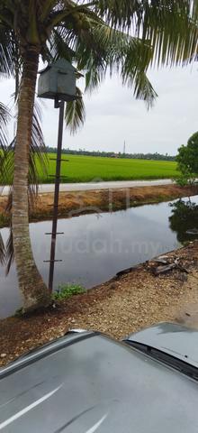 Sawah sekinchan (GERAN INDIVIDU) 1