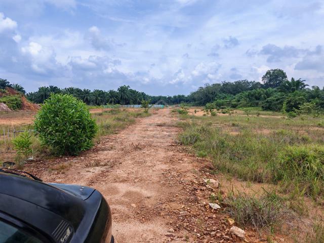 Tanah murah di Bukit Hijau 1