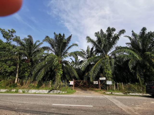 102 acres Palm oil land beside main road at Batu Lima Sungai Siput 1
