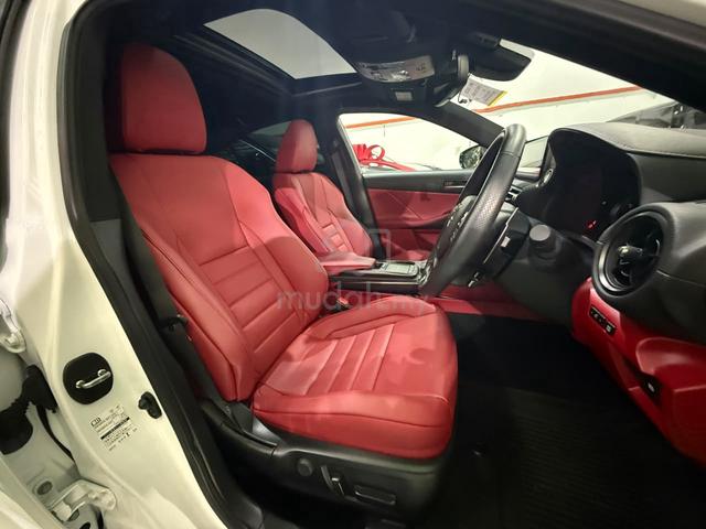 2023 Lexus IS300 2.0 F-SPORT (A) - 5