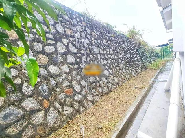 SemiD ViraL Di MerLimau,LoKasi StRategik HaRgA BaWaH 400 RiBu. 3