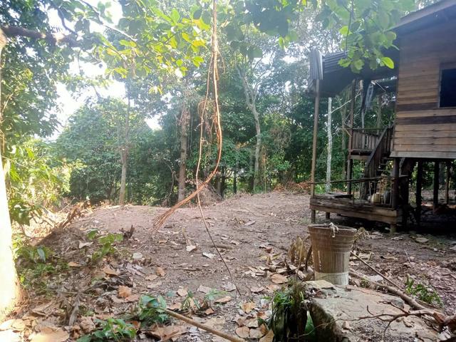 4 Acres Land Menggatal 1