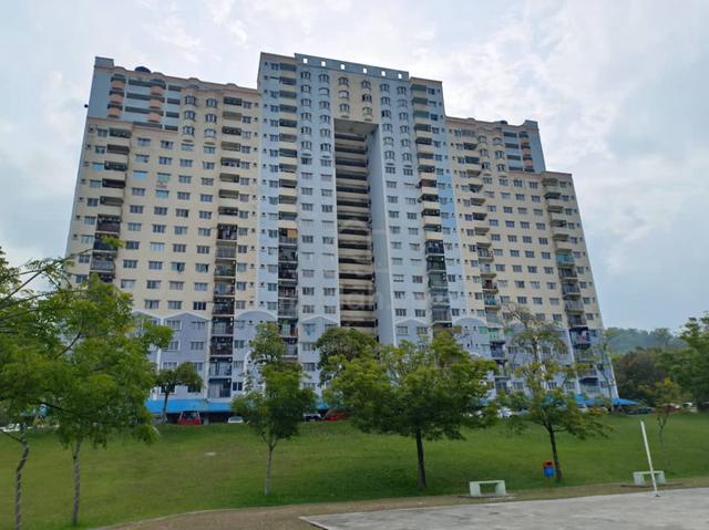 Taman Desaminium 1