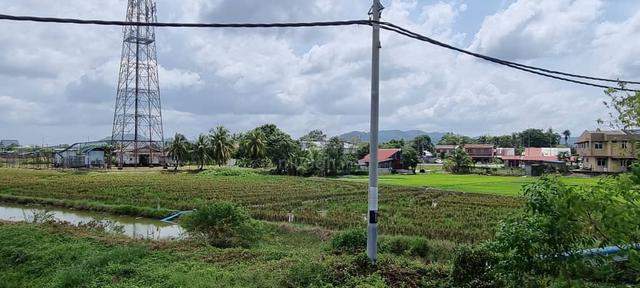 Agricultural Land For Sale 1