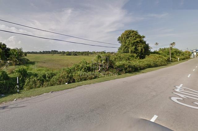 Agriculture Land For Sale – Pekan 1