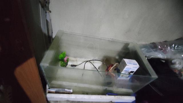 Aquarium ikan.. set filter pump..   - photo 2 of 2