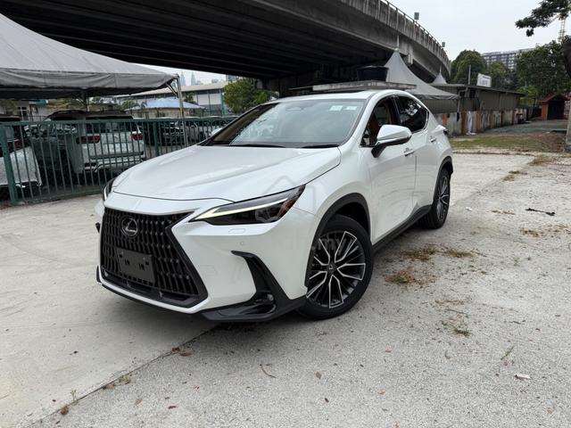 2023 Lexus NX250 2.5 LUXURY S/ROOF HUD 360V P/SHIF - 3