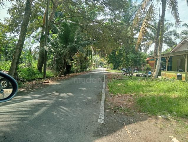 Investment Opportunity Land in Kampung Seri Paya Sale Kulai Johor 5