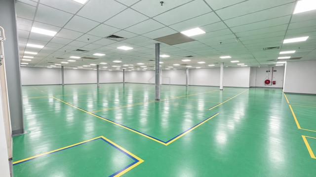 Senai Detached Factory 6.32 Acres 1