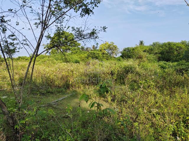 Tanah Pajakan untuk dijual –Tanah Pertanian 1