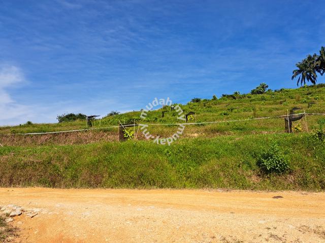 Agriculture Land Kerling, Hulu Selangor 162.6 EKAR 4