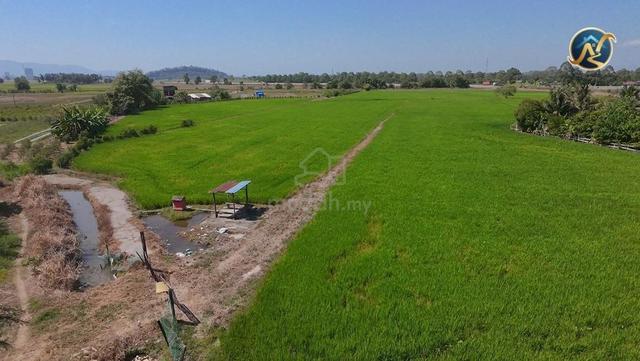 Premium Freehold 13.4 Ekar, Lokasi Prime, Berpotensi untuk Pembangunan 1