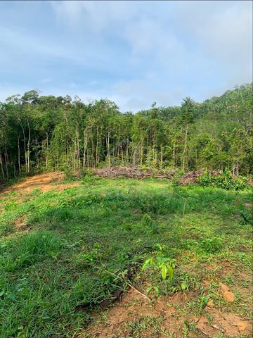 Glamping Land for Lease – Near Gunung Datuk, Kampung Miku Lama, Rembau 1