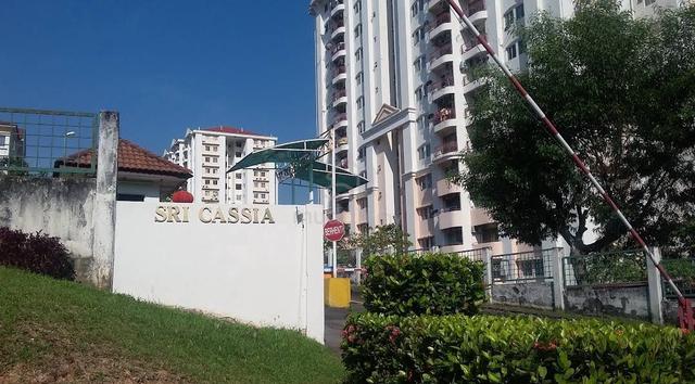 Sri Cassia 1