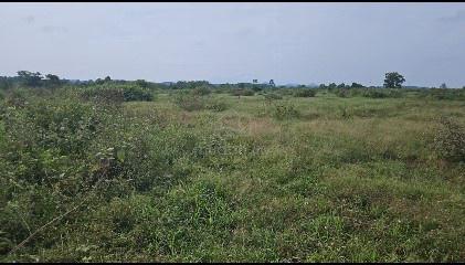 industrial land for sale 1