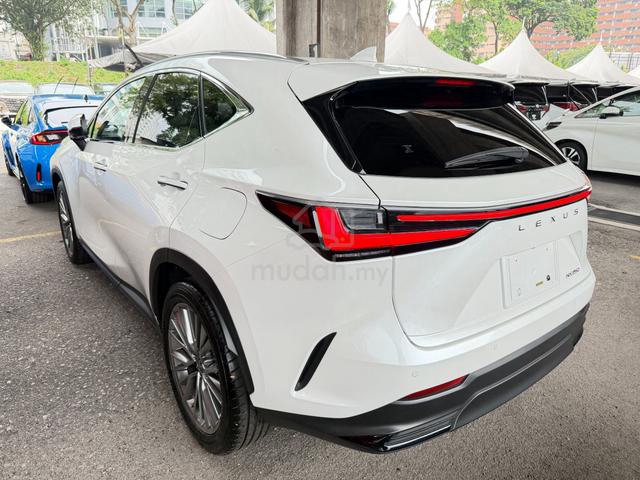 2023 Lexus NX250 2.5 LUXURY P-Roof 360 CAM Unreg - 5