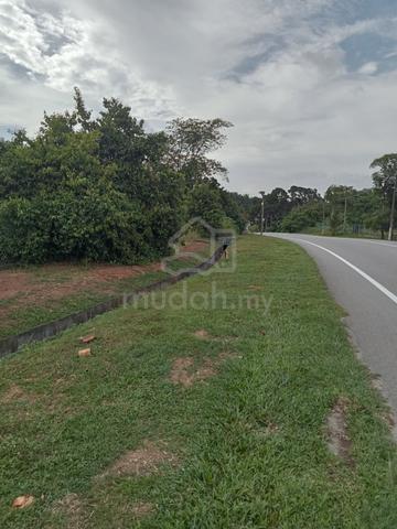 Main Road 2 Acres 1