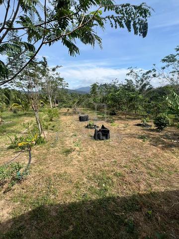 Tanah Berhampiran Afamosa Untuk Dijual | Tanah Cantik 1