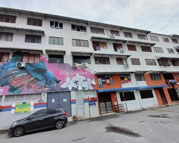 Taman Balik Pulau 1