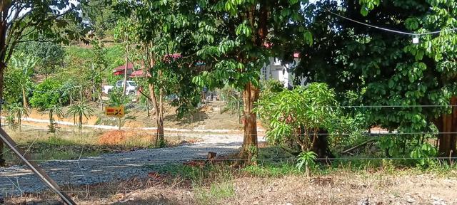 Tanah dusun durian, duku dll.  1