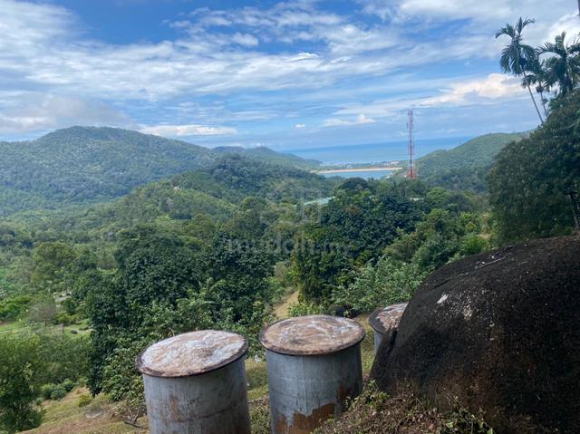 Agricultural Land At Teluk Bahang (90 Arces) (RM25psf) 1